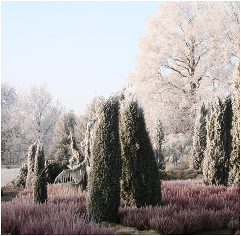 Schnee im Heidegarten
