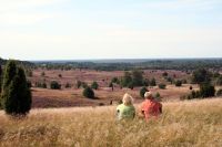 Blick vom Wilseder Berg