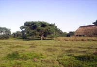 Heide Thülsfelder Talsperre