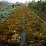 4. Jahr: Erster Vergleich